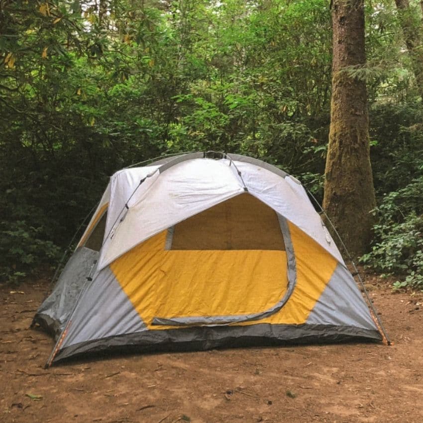 Hvidt telt i skoven